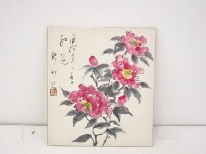 作家物「椿」図　肉筆色紙